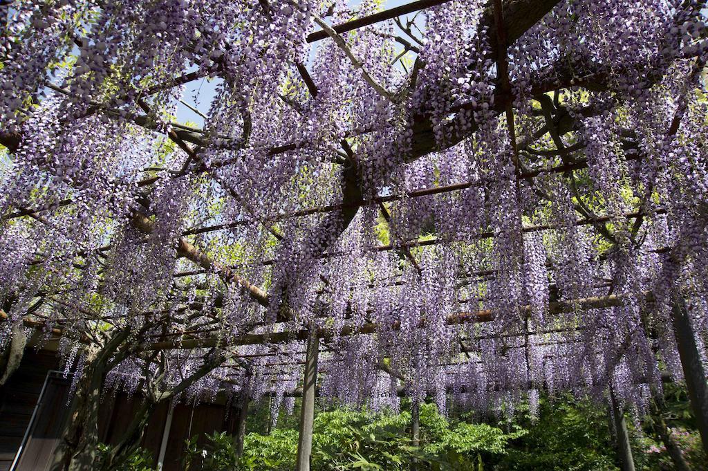 Hotel Nanzanso Izunokuni Экстерьер фото